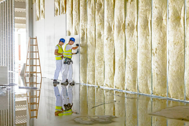 Best Insulation Maintenance and Repair in Milliken, CO